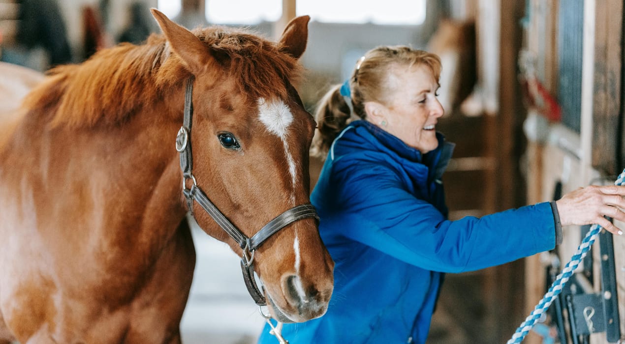 Woman tying a horse's bridle to a stable