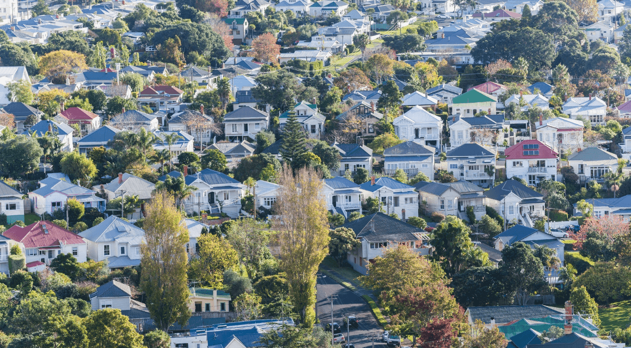 Drone image of a residential street in Auckland, New Zealand
