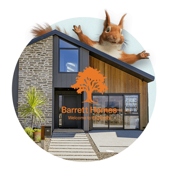 Barrett Homes and Squirrel