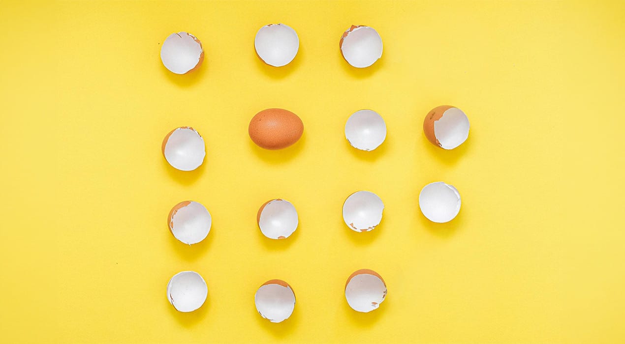 13 half eggshells and one whole egg sitting on a yellow background