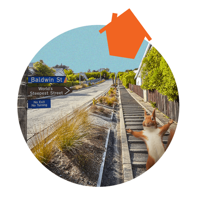 Baldwin Street, the world's steepest street. Bernie the Squirrel popping out from the corner.